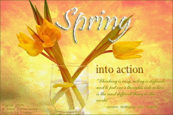 dreamstimefree 1842888 photographer anna karawowska w border by dianaroald07