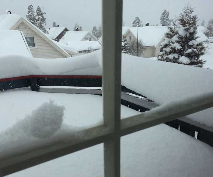 Snow-18-01-14